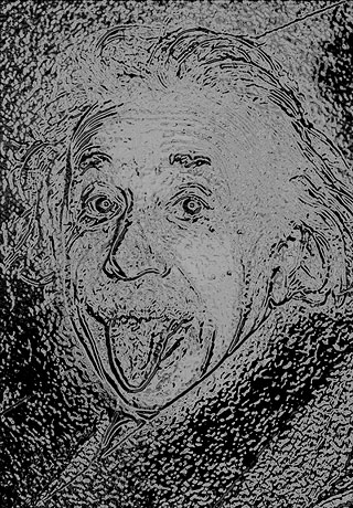 Albert Einstein/ 2009 - Satoshi Kinoshita