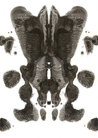 WP_043 (Rorschach  Series)/ 2004 - Satoshi Kinoshita