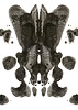 WP_043 (Rorschach  Series)/ 2004