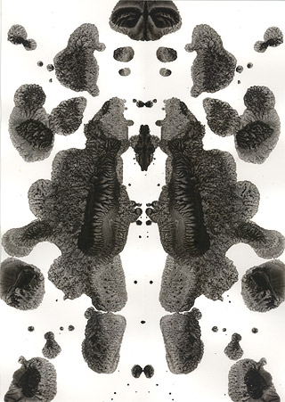 WP_045 (Rorschach  Series)/ 2004 - Satoshi Kinoshita