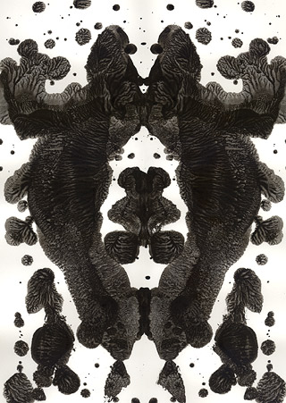 WP_061 (Rorschach  Series 2)/ 2004 - Satoshi Kinoshita