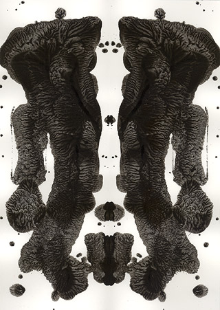 WP_063 (Rorschach  Series 2)/ 2004 - Satoshi Kinoshita