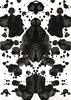 WP_065 (Rorschach  Series 2)/ 2004